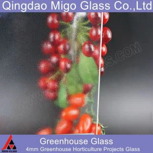 Ħġieġ tas-Serra Priżmatiku Matt